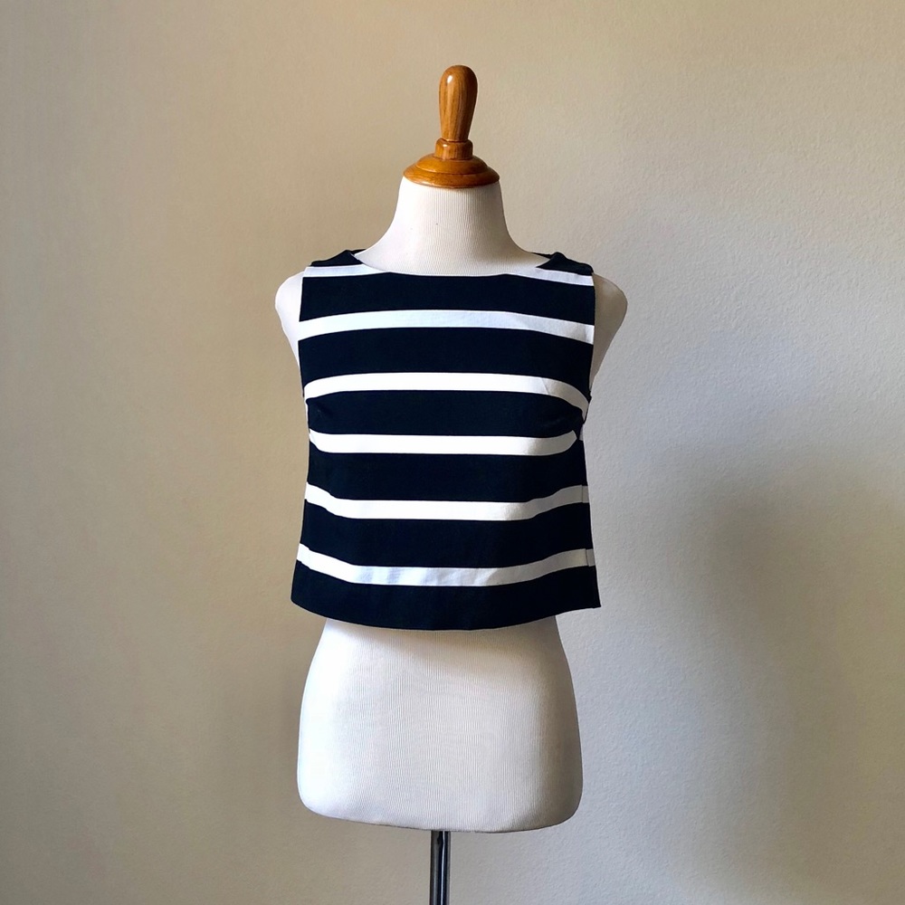 Elegant Navy Stripe Crop Top